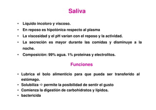 Saliva
• Líquido incoloro y viscoso.
• En reposo es hipotónica respecto al plasma
• La viscosidad y el pH varían con el reposo y la actividad.
• La secreción es mayor durante las comidas y disminuye a la
noche.
• Composición: 99% agua. 1% proteínas y electrolitos.
• Lubrica el bolo alimenticio para que pueda ser transferido al
estómago.
• Solubiliza permite la posibilidad de sentir el gusto
• Comienza la digestión de carbohidratos y lípidos.
• bactericida
Funciones
 