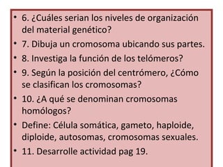 • 6. ¿Cuáles serian los niveles de organización
del material genético?
• 7. Dibuja un cromosoma ubicando sus partes.
• 8. Investiga la función de los telómeros?
• 9. Según la posición del centrómero, ¿Cómo
se clasifican los cromosomas?
• 10. ¿A qué se denominan cromosomas
homólogos?
• Define: Célula somática, gameto, haploide,
diploide, autosomas, cromosomas sexuales.
• 11. Desarrolle actividad pag 19.
 