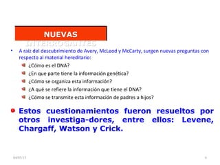 04/05/15 6
• A raíz del descubrimiento de Avery, McLeod y McCarty, surgen nuevas preguntas con
respecto al material hereditario:
¿Cómo es el DNA?
¿En que parte tiene la información genética?
¿Cómo se organiza esta información?
¿A qué se refiere la información que tiene el DNA?
¿Cómo se transmite esta información de padres a hijos?
NUEVASNUEVAS
INTERROGANTESINTERROGANTES
Estos cuestionamientos fueron resueltos por
otros investiga-dores, entre ellos: Levene,
Chargaff, Watson y Crick.
 