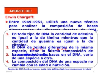 04/05/15 7
APORTE DE:APORTE DE:
Erwin Chargaff:
Entre 1949-1951, utilizó una nueva técnica
para analizar la composición de bases
nitrogenadas de diversas fuentes de DNA,
logrando concluir lo siguiente:1. En todo tipo de DNA la cantidad de adenina
es igual a la de timina mientras que la
cantidad de guanina es igual a la de
citosina.
A = T y G = C
Fuentes de DNA: hombre, ternera, oveja, rata, gallina, staphylococcus aureus y levadura
2. El DNA de tejidos diferentes de la misma
especie, tiene la misma composición de
bases nitrogenadas.3. La composición de bases en el DNA, varía
de una especie a otra.
4. La composición del DNA de una especie no
cambia con la edad o nutrición.
 