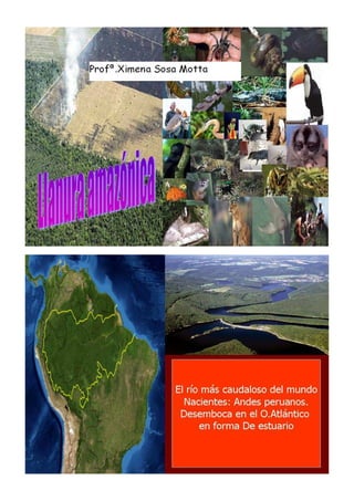 Clase de selva amazónica
