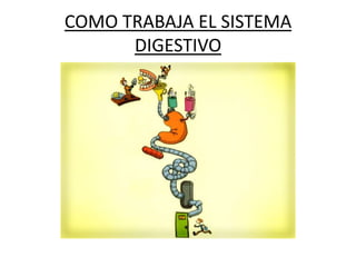 COMO TRABAJA EL SISTEMA
DIGESTIVO
 