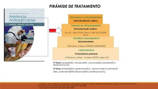 PIRÁMIDE DE TRATAMIENTO 
- E Ferreira, JM Castellanos, EB Sánchez, LMA Salazar. Programa" México libre de tuberculosis", pautas para el tratamiento y 
retratamiento de tuberculosis. Bol. Epid., 2002 ISSN 1405-2636. 
- Guia para la Atención de tuberculosis MDR. 
 
