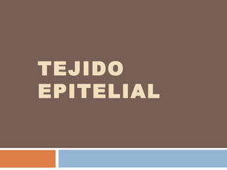 TEJIDO
EPITELIAL
 