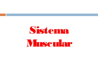 Sistema
Muscular
 
