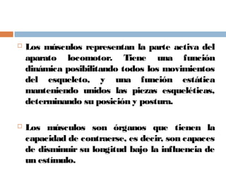  Los músculos representan la parte activa del
aparato locomotor. Tiene una función
dinámica posibilitando todos los movimientos
del esqueleto, y una función estática
manteniendo unidos las piezas esqueléticas,
determinando su posición y postura.
 Los músculos son órganos que tienen la
capacidad de contraerse, es decir, son capaces
de disminuir su longitud bajo la influencia de
un estímulo.
 