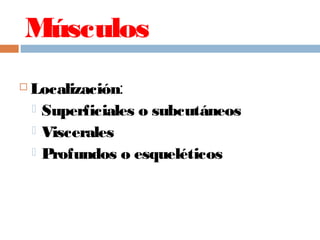 Músculos
 Localización:
 Superficiales o subcutáneos
 Viscerales
 Profundos o esqueléticos
 