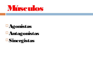 Músculos
 Agonistas
 Antagonistas
 Sinergistas
 