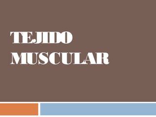 TEJIDO
MUSCULAR
 