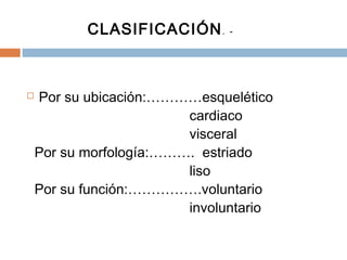  Por su ubicación:…………esquelético
cardiaco
visceral
Por su morfología:………. estriado
liso
Por su función:…………….voluntario
involuntario
CLASIFICACIÓN. -
 