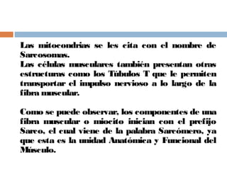 Las mitocondrias se les cita con el nombre de
Sarcosomas.
Las células musculares también presentan otras
estructuras como los Túbulos T que le permiten
transportar el impulso nervioso a lo largo de la
fibra muscular.
Como se puede observar, los componentes de una
fibra muscular o miocito inician con el prefijo
Sarco, el cual viene de la palabra Sarcómero, ya
que esta es la unidad Anatómica y Funcional del
Músculo.
 
