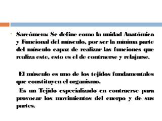 • Sarcómera: Se define como la unidad Anatómica
y Funcional del músculo, por ser la mínima parte
del músculo capaz de realizar las funciones que
realiza este, esto es el de contraerse y relajarse.
El músculo es uno de los tejidos fundamentales
que constituyen el organismo.
Es un Tejido especializado en contraerse para
provocar los movimientos del cuerpo y de sus
partes.
 