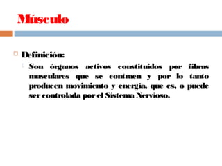 Músculo
 Definición:
 Son órganos activos constituidos por fibras
musculares que se contraen y por lo tanto
producen movimiento y energía, que es, o puede
sercontrolada porel Sistema Nervioso.
 