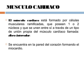 MUSCULO CARDIACO
 El músculo cardíaco está formado por células
musculares ramificadas, que poseen 1 o 2
núcleos y que se unen entre sí a través de un tipo
de unión propia del músculo cardíaco llamada:
disco intercalar.
 Se encuentra en la pared del corazón formando el
miocardio.
 