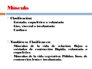 Músculo
 Clasificación:
 Estríado, esquelético o voluntario
 Liso, visceral o involuntario
 Cardiaco
 También se Clasifican en:
 Músculos de la vida de relación: Rojos o
estriados de contracción Rápida, voluntaria o
esquelética
 Músculos de la vida vegetativa: Pálidos, lisos, de
contracción lenta e involuntaria.
 