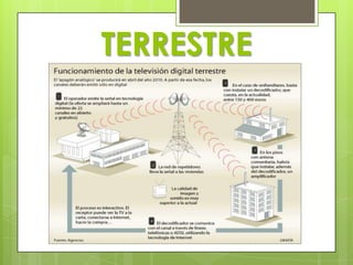 TERRESTRE