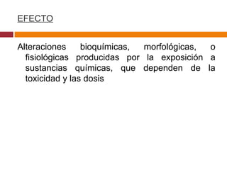 EFECTO Alteraciones bioquímicas, morfológicas, o fisiológicas producidas por la exposición a sustancias químicas, que dependen de la toxicidad y las dosis 