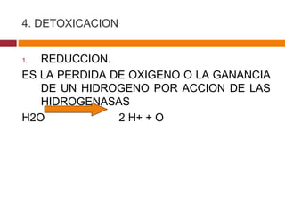 4. DETOXICACION REDUCCION. ES LA PERDIDA DE OXIGENO O LA GANANCIA DE UN HIDROGENO POR ACCION DE LAS HIDROGENASAS H2O  2 H + + O 