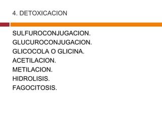 4. DETOXICACION SULFUROCONJUGACION. GLUCUROCONJUGACION. GLICOCOLA O GLICINA. ACETILACION. METILACION. HIDROLISIS. FAGOCITOSIS. 