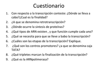 Cuestionario
1. Con respecto a la transcripción conteste: ¿Dónde se lleva a
cabo?¿Cual es la finalidad?
2. ¿A que se denomina retrotranscripción?
3. ¿Dónde ocurre la sintesis de proteínas?
4. ¿Qué tipos de ARN existen , y que función cumple cada uno?
5. ¿Qué se necesita para que se lleve a babo la transcripción?
6. ¿Cuáles son las etapas de la transcripción? Explique.
7. ¿Qué son los centros promotores? ¿a que se denomina caja
TATA?
8. ¿Qué tripletes marcan la finalización de la transcripción?
9. ¿Qué es la ARNpolimerasa?
 