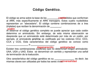 Código Genético.
El código se arma sobre la base de los _________ nucleótidos que conforman
al ARN, más específicamente el ARN mensajero. Estos cuatro nucleótidos
representan un “abecedario”. El código contiene combinaciones de a tres
(tripletes) que reciben la denominación de ________.
Al observar el código genético completo se puede apreciar que cada codón
determina un aminoácido. Sin embargo, de esta misma observación se
desprende que un aminoácido está determinado por más de un codón, por
ejemplo, el aminoácido prolina es codificado por los codones CCU, CCC,
CCA y CCG. Esta característica del código genético se conoce como
________________ o _________________.
Existen tres combinaciones (codones) que no determinan ningún aminoácido:
UAA, UGA y UAG. Estos se denominan sin sentido y representan una señal
de terminación de la traducción.
Otra característica del código genético es su ______________, es decir, las
mismas claves son utilizadas por todos los seres vivos.
cuatro
codón
degeneración ambigüedad
universalidad
 