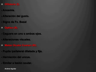 !   Olfatorio (I).
- Anosmia.
- Alteración del gusto.
- Signo de Fx. Basal
! Optico (II).
- Ceguera en uno o ambos ojos.
- Alteraciones visuales.
!   Motor Ocular Común (III).
- Pupila ipsilateral dilatada y fija.
- Herniación del uncus.
- Similar a lesión ocular.
Andres Aguilar
 