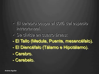 •  El cerebro ocupa el 80% del espacio
intracraneal.
•  Se divide en cuatro áreas:
- El Tallo (Medula, Puente, mesencéfalo).
- El Diencéfalo (Tálamo e Hipotálamo).
- Cerebro.
- Cerebelo.
Andres Aguilar
 