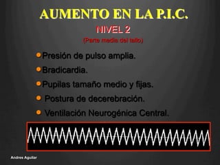 AUMENTO EN LA P.I.C.
n Presión de pulso amplia.
n Bradicardia.
n Pupilas tamaño medio y fijas.
n  Postura de decerebración.
n  Ventilación Neurogénica Central.
NIVEL 2
(Parte media del tallo)
Andres Aguilar
 
