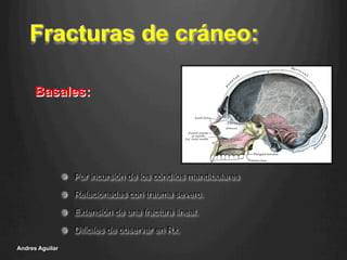 Fracturas de cráneo:
!   Por incursión de los cóndilos mandibulares
!   Relacionadas con trauma severo.
!   Extensión de una fractura lineal.
!   Dificiles de observar en Rx.
Andres Aguilar
Basales:
 