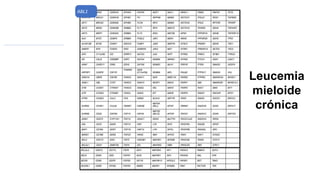 ABL1
Leucemia
mieloide
crónica
 