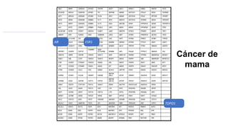 AR ESR1
TOPO1
Cáncer de
mama
 