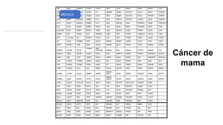 BRCA1/2
Cáncer de
mama
 