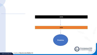 Creado por Mauricio Lema Medina MD
ADN
ARN
Proteína
 