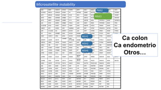 PMS2
MLH1
MSH2
MSH6
POLE1
Microsatellite instability
PMS2
MLH1
MSH2
MSH6
Ca colon
Ca endometrio
Otros…
 