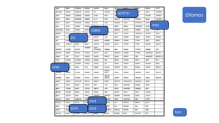 EGFR
TERT
IDH1
ATRX
TP53
Gliomas
IDH2
CIC
FUBP1
NOTCH1
 