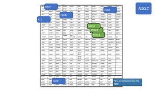 EGFR
ROS1
ALK
BRAF
ERBB2
NTRK2
NTRK1
NTRK3
PD-L1 expression by IHC
TMB
NSCLC
 