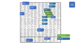 EGFR
KRAS
NRAS
BRAF
ERBB2
Tumor agnostic
NTRK2
PMS2
MLH1
MSH2
MSH6
POLE
NTRK1
NTRK3
MSI/POLE
APC
PTEN
PIK3Ca
CRC
 