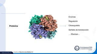 Creado por Mauricio Lema Medina MD
Proteína
Enzimas
Regulación
Citoesqueleto
Señales de transducción
… Efectúan…
 