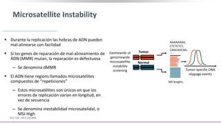 Microsatellite Instability
 Durante la replicación las hebras de ADN pueden
mal-alinearse con facilidad
 Si los genes de reparación de mal-alineamiento de
ADN (MMR) mutan, la reparación es defectuosa
‒ Se denomina dMMR
 El ADN tiene regions llamados microsatélites
compuestos de “repeticiones”
‒ Estos microsatélites son únicos en que los
errores de replicación varían en longitud, en
vez de secuencia
‒ Se denomina inestabilidad microsatelidal, o
MSI-High
Kim. Cell. 2013;155:858.
Exomewide or
genomewide
microsatellite
instability
screening
Tumor
Normal
Tumor-specific DNA
slippage events
MS lengths
AAAAAAAA,
CTCTCTCT,
CAGCAGCAG,
…..
 