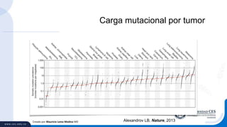 Carga mutacional por tumor
Alexandrov LB, Nature, 2013Creado por Mauricio Lema Medina MD
 