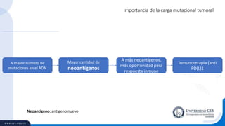 Importancia de la carga mutacional tumoral
A mayor número de
mutaciones en el ADN
Mayor cantidad de
neoantígenos
Neoantígeno: antígeno nuevo
A más neoantígenos,
más oportunidad para
respuesta inmune
Inmunoterapia (anti
PD(L)1
 
