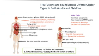 TRK Fusions Are Found Across Diverse Cancer
Types In Both Adults and Children
Brain cancers (glioma, GBM, astrocytoma)
Thyroid cancer
Salivary cancer (MASC, mammary
analogue secretory carcinoma )
Lung cancer
Secretory breast cancer
Pancreatic
Cholangiocarcinoma
GIST
Colon
Melanoma
Sarcoma (multiple subtypes)
Gliomas
Infantile fibrosarcoma
Thyroid cancer
Congenital nephroma
Spitz nevi
Sarcoma (multiple subtypes)
Color Code:
Common cancer with
low incidence of TRK fusions
Rare cancer with high
incidence of TRK fusions
NTRK and TRK fusions are rare events:
0.2% found in screening >11,000 patients with tumors of all types
 