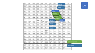 NRAS
Tumor agnostic
NTRK2
PMS2
MLH1
MSH2
MSH6
POLE
NTRK1
NTRK3
MSI/POLE
PTEN
CRC
 