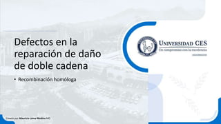 Defectos en la
reparación de daño
de doble cadena
• Recombinación homóloga
Creado por Mauricio Lema Medina MD
 