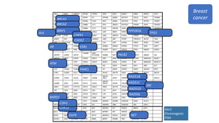 BRCA1
Breast
cancer
BRCA2
ATM
BARD1
BRIP1
CDK12
CHEK1
CHEK2
FANCL
PALB2
PPP2R2A
RAD51B
RAD51C
RAD51D
RAD54L
TP53
EGFR
AR
ALK
SRC
RET
ESR1
CDH1
Her2
Chromogenic
FISH
 