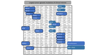 BRCA1
HR-related genes
BRCA2
ATM
BARD1
BRIP1
CDK12
CHEK1
CHEK2
FANCL
PALB2
PPP2R2A
RAD51B
RAD51C
RAD51D
RAD54L
PMS2
MLH1
MSH2
MSH6
POLE
MSI + POLE
Largely tumor agnostic mutations of clinical interest
 