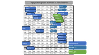 NTRK2
BRCA1
HR-related genes
BRCA2
ATM
BARD1
BRIP1
CDK12
CHEK1
CHEK2
FANCL
PALB2
PPP2R2A
RAD51B
RAD51C
RAD51D
RAD54L
PMS2
MLH1
MSH2
MSH6
POLE
MSI + POLE
NTRK1
NTRK3
NTRK1/2/3
Largely tumor agnostic mutations of clinical interest
 