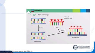 Creado por Mauricio Lema Medina MD
 