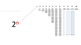 1x 2x 4x 8x 16x 32x 64x 128x 256x 512x 1024x
n 0 1 2 3 4 5 6 7 8 9 10
2n
 
