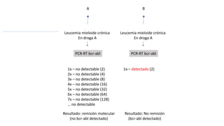 A
Leucemia mieloide crónica
En droga A
PCR-RT bcr-abl
1x – no detectable (2)
2x – no detectable (4)
3x – no detectable (8)
4x – no detectable (16)
5x – no detectable (32)
6x – no detectable (64)
7x – no detectable (128)
… no detectable
Resultado: remisión molecular
(no bcr-abl detectado)
B
Leucemia mieloide crónica
En droga A
PCR-RT bcr-abl
1x – detectado (2)
Resultado: No remisión
(bcr-abl detectado)
 
